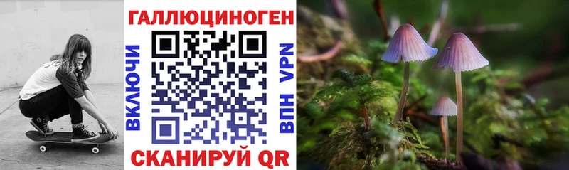 дарк нет формула  Белгород  Галлюциногенные грибы Magic Shrooms 