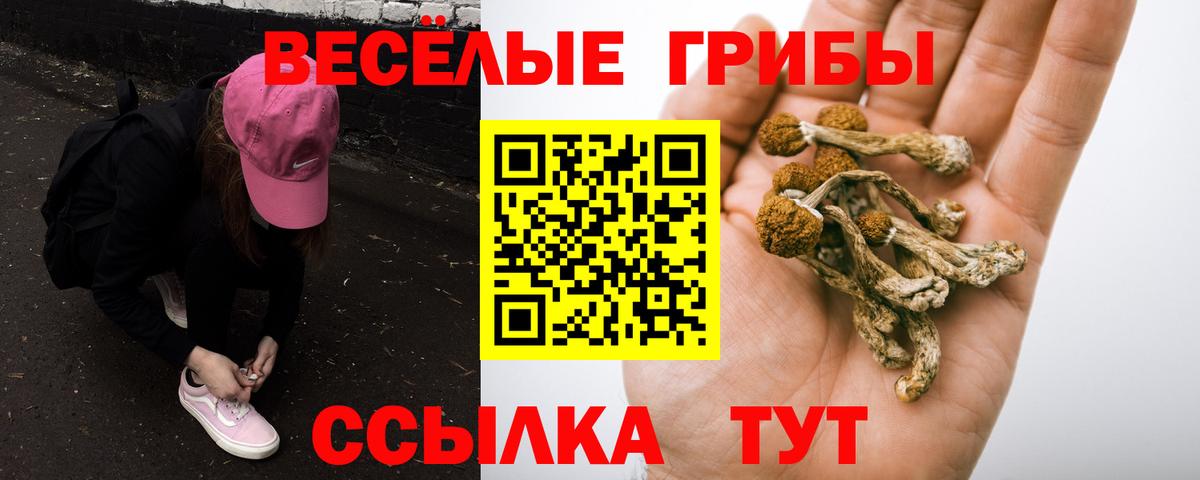 Галлюциногенные грибы Psilocybine cubensis  Вход с VPN  Белгород 